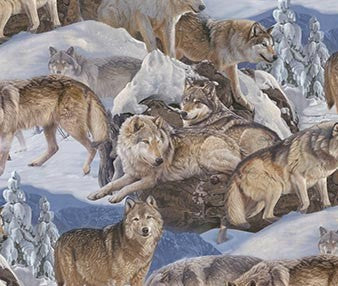 Northcott-Winter Gathering-Brown