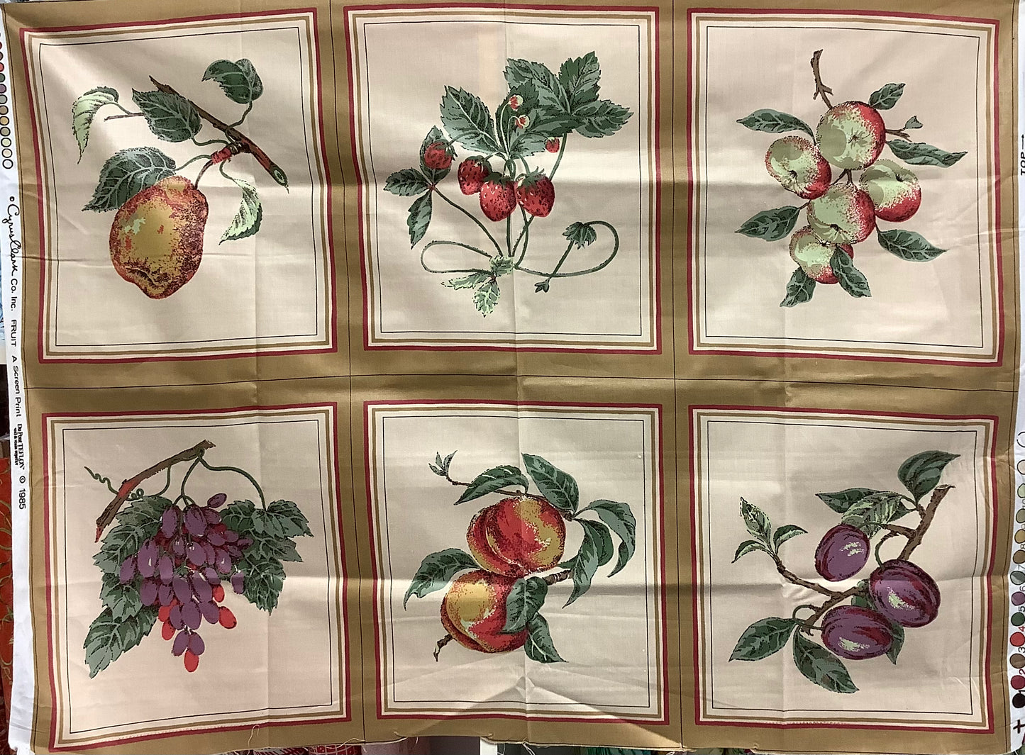 Cyrus Clark Co-Fruit-Panel