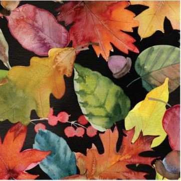 Camelot Fabrics - Gather Together