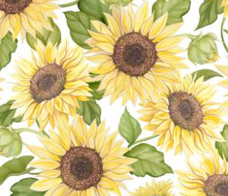 Springs Creative - Sunflower Garden - Packed Sunflowers
