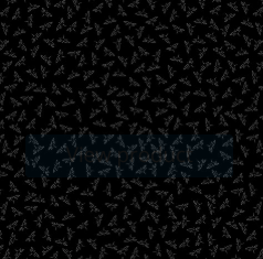Suzi Group - Henry Glass - Back in Black