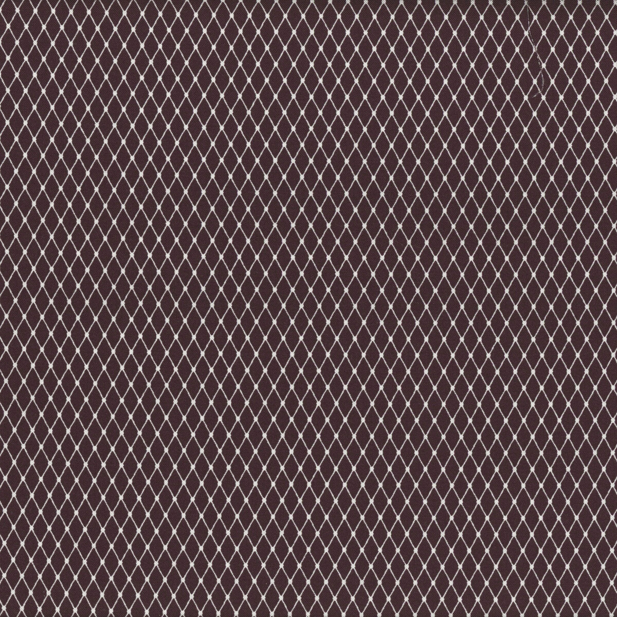 Free Spirit - Tula Pink - Nightshade Fishnet