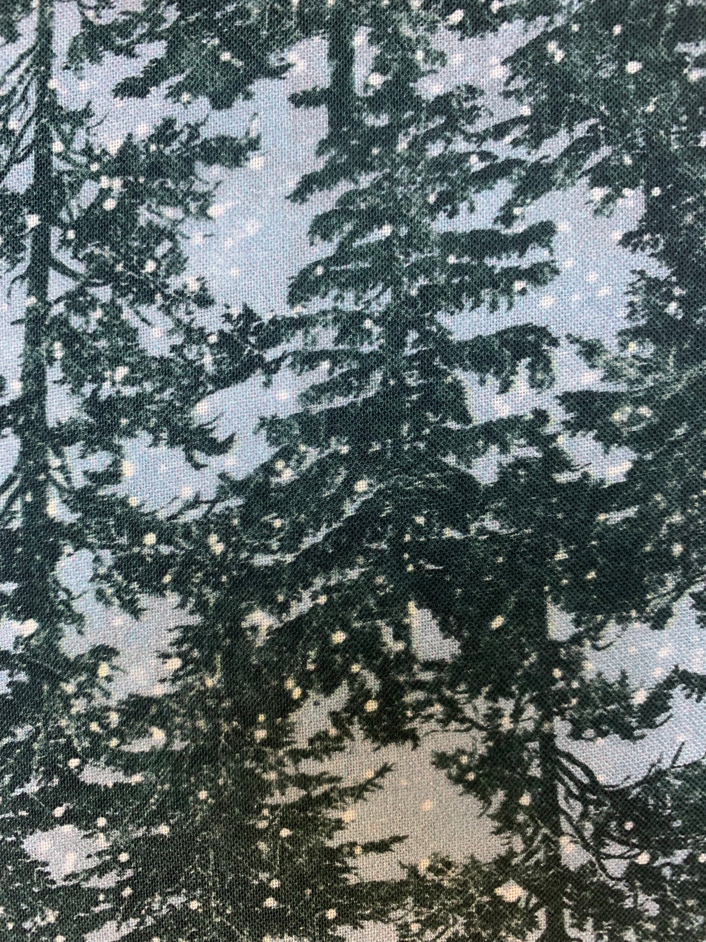 Northcott-Naturescapes Silver Moon-Blue Multi-Trees
