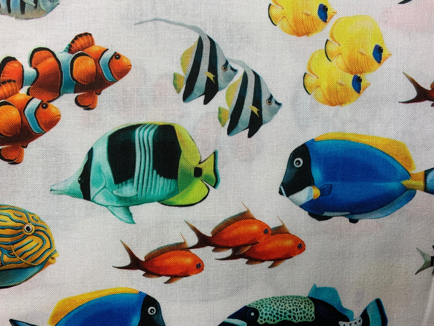 Northcott-Coral Reef