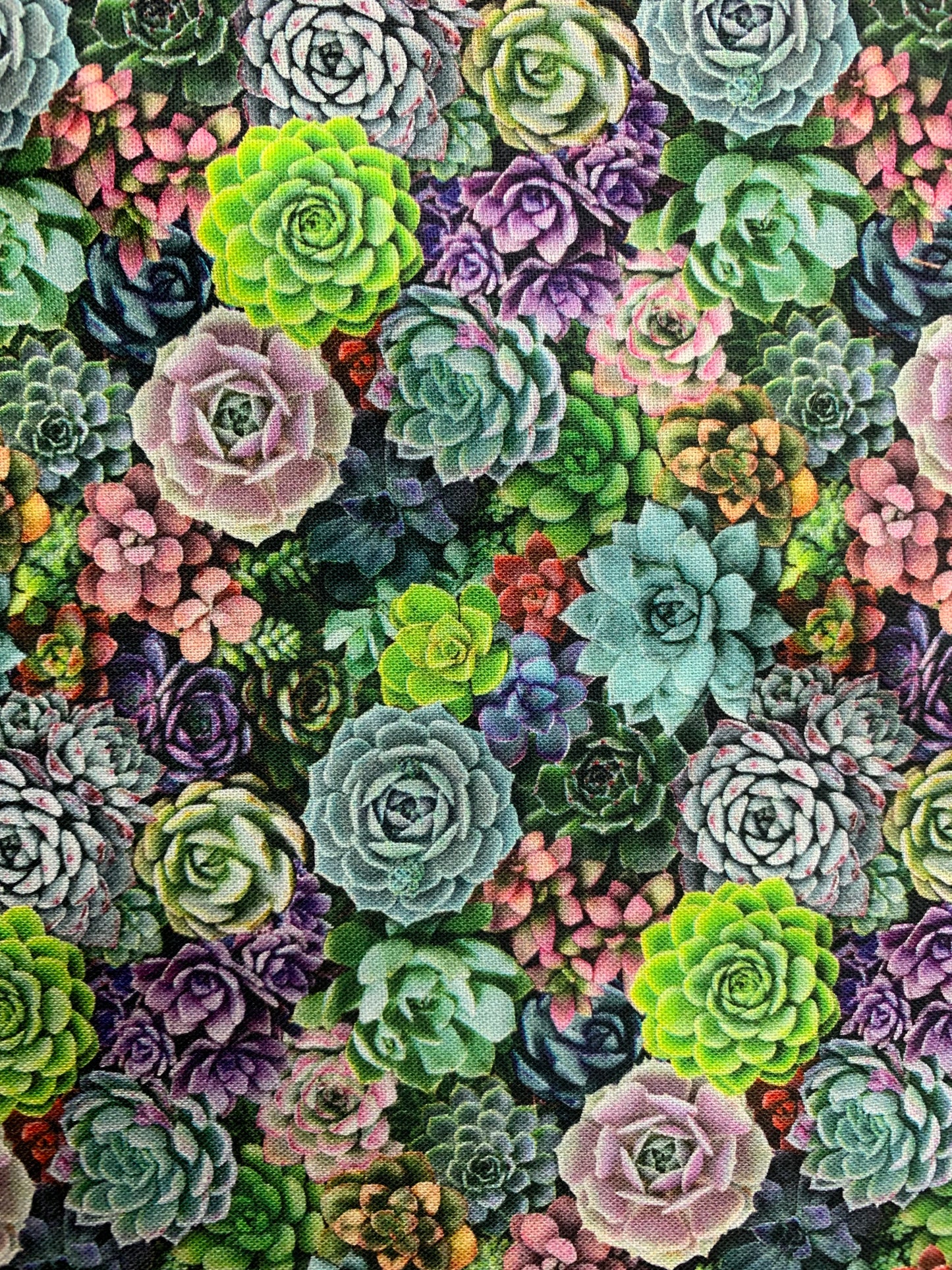 Elizabeth's Studio-Landscape Medley