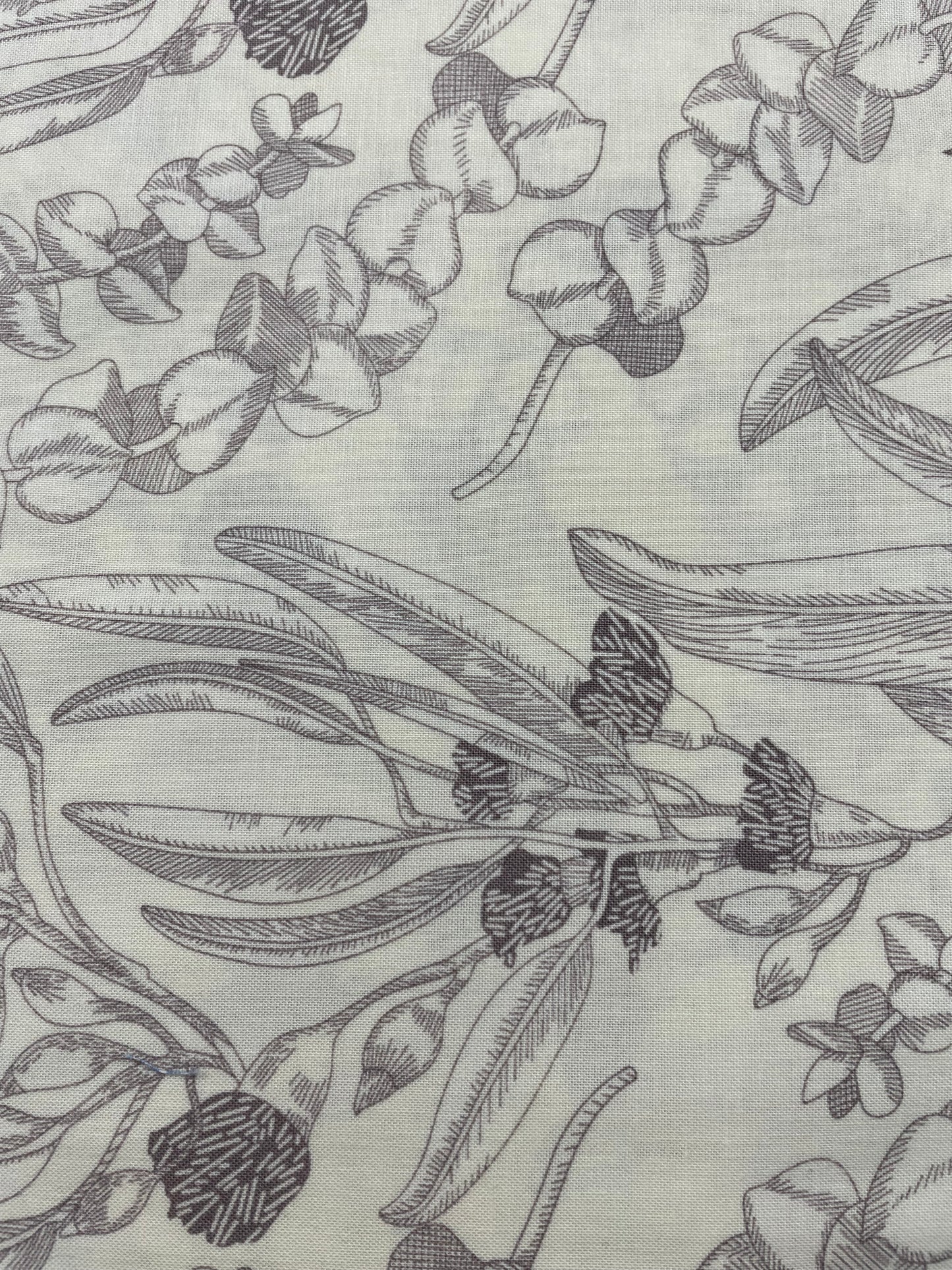 Free Spirit - Skipping Stones