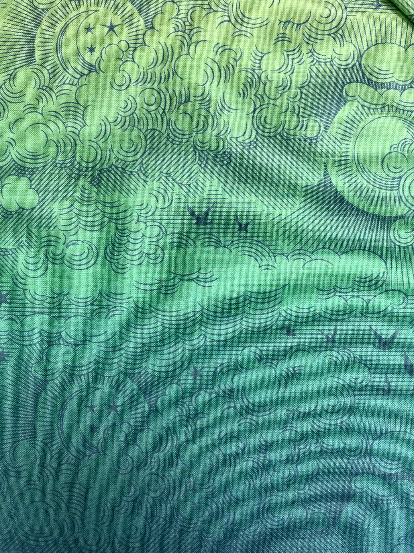 Free Spirit - Tula Pink - Cloud