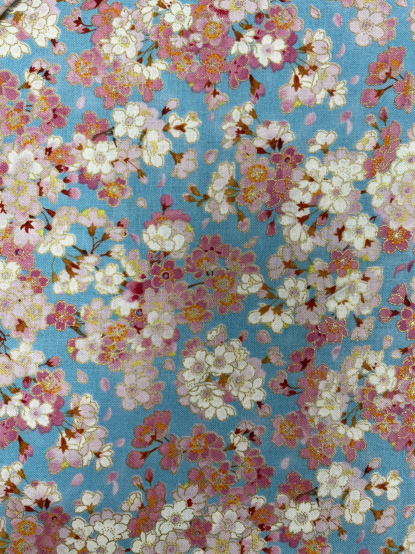 Elizabeth's Studio-Geiko Collection
