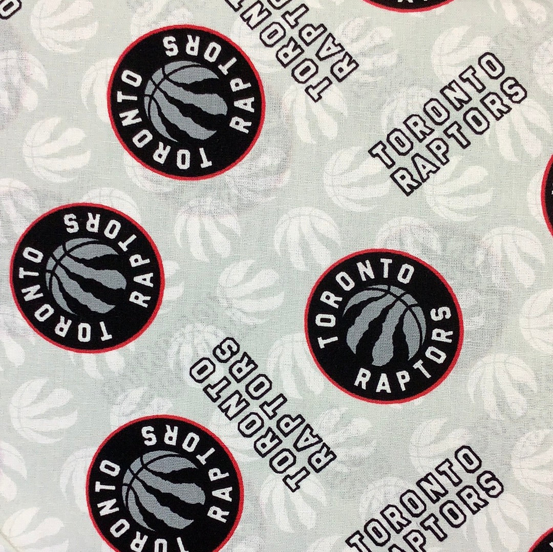 Sykel Enterprises-Toronto Raptors-NBA