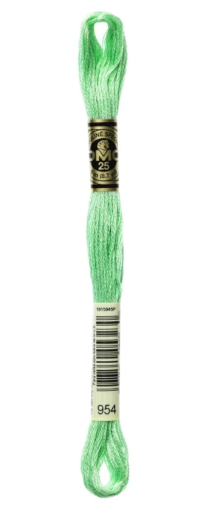 DMC-Six Strand Embroidery Floss-954-8m/8.7y