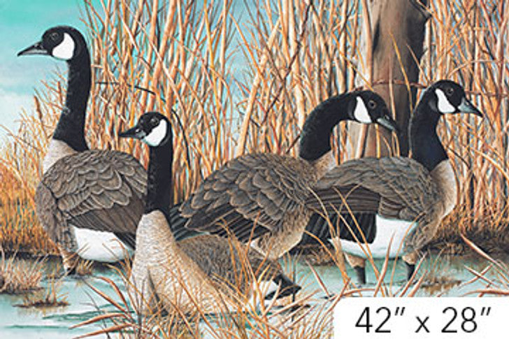 Northcott-Canada Goose-Panel