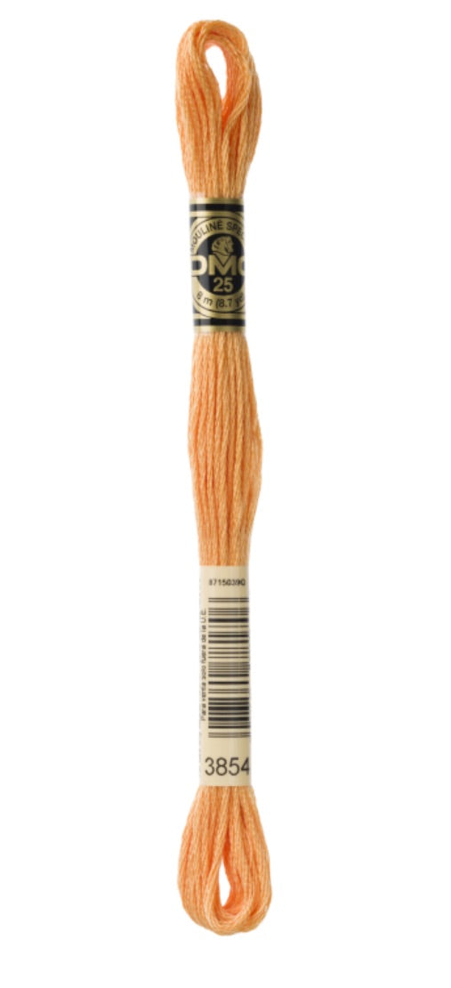 DMC-Six Strand Embroidery Floss-3854-8m/8.7y