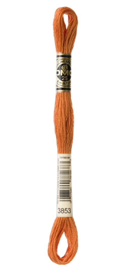 DMC-Six Strand Embroidery Floss-3853-8m/8.7y