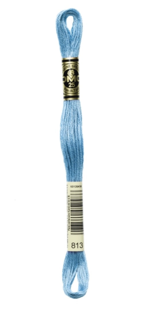 DMC-Six Strand Embroidery Floss-813-8m/8.7y