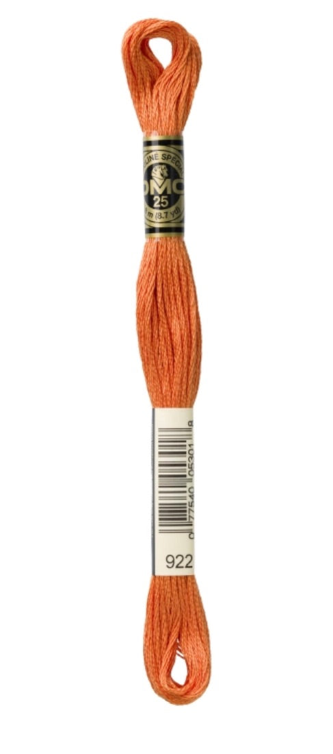 DMC-Six Strand Embroidery Floss-922-8m/8.7y
