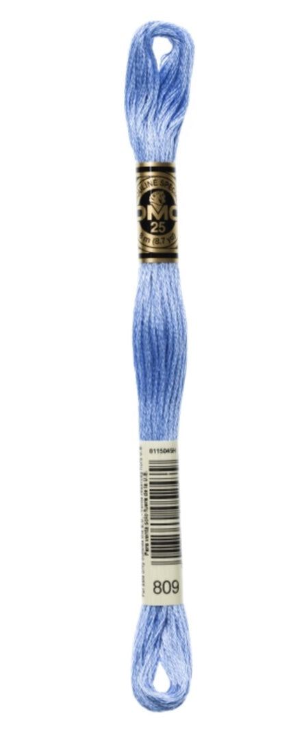 DMC-Six Strand Embroidery Floss-809-8m/8.7y