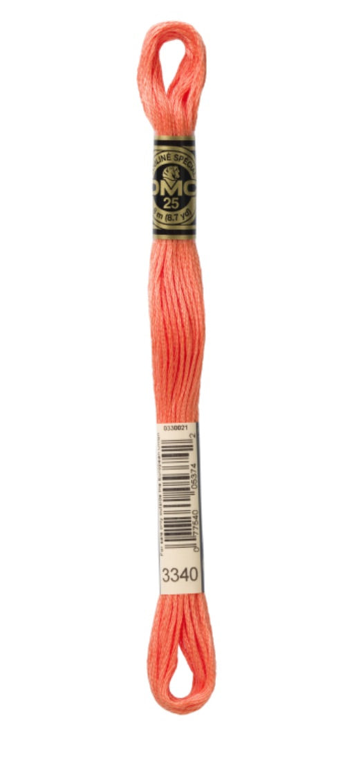 DMC-Six Strand Embroidery Floss-3340-8m/8.7y