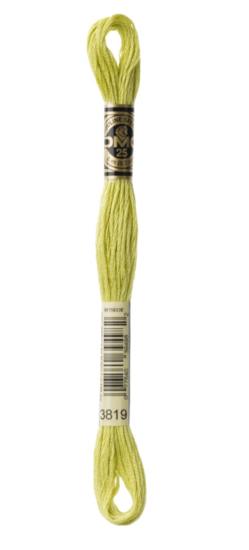 DMC-Six Strand Embroidery Floss-3819-8m/8.7y