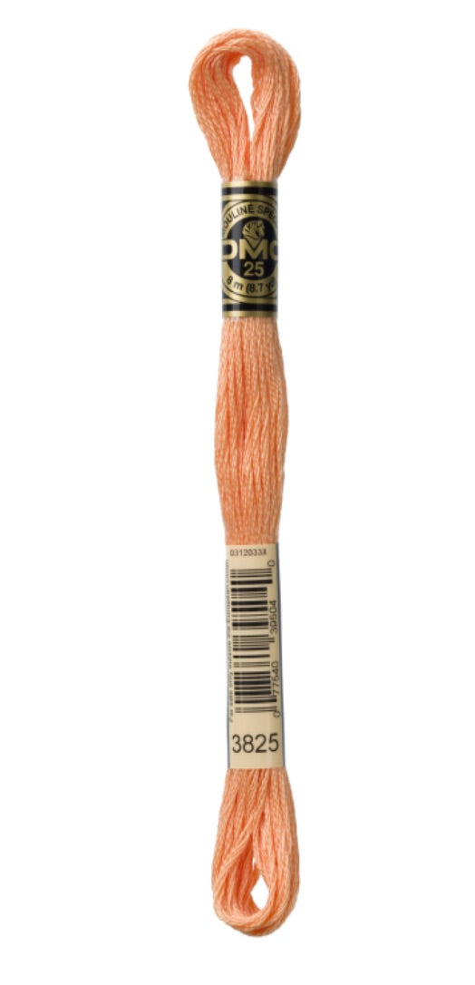 DMC-Six Strand Embroidery Floss-3825-8m/8.7y