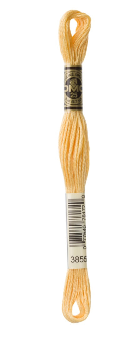 DMC-Six Strand Embroidery Floss-3855-8m/8.7y