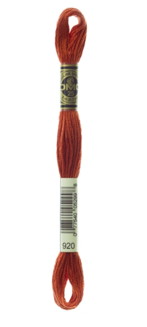 DMC-Six Strand Embroidery Floss-920-8m/8.7y