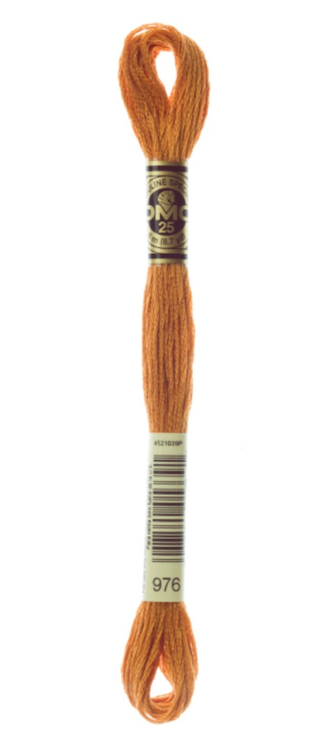 DMC-Six Strand Embroidery Floss-976-8m/8.7y