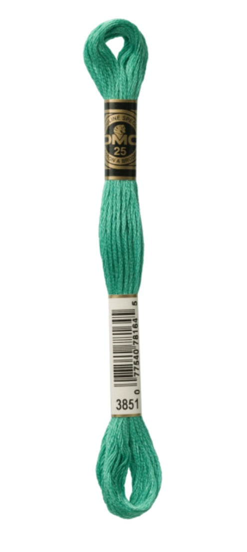 DMC-Six Strand Embroidery Floss-3851-8m/8.7y
