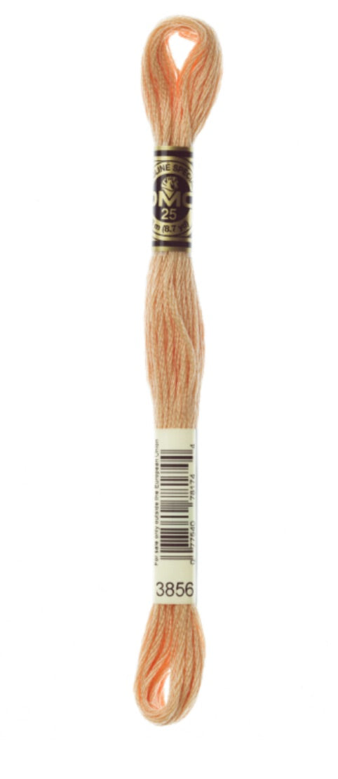 DMC-Six Strand Embroidery Floss-3856-8m/8.7y