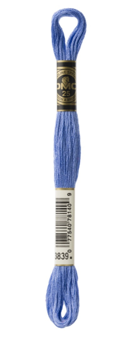DMC-Six Strand Embroidery Floss-3839-8m/8.7y