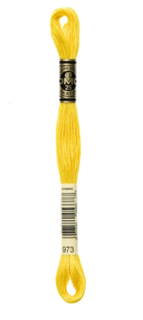 DMC-Six Strand Embroidery Floss-973-8m/8.7y