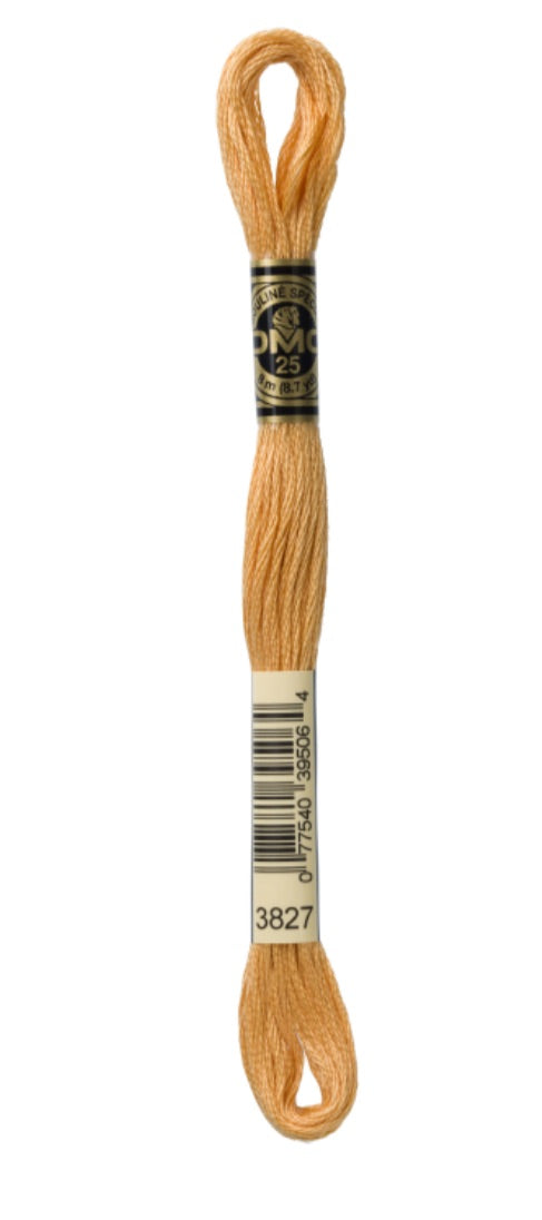 DMC-Six Strand Embroidery Floss-3827-8m/8.7y