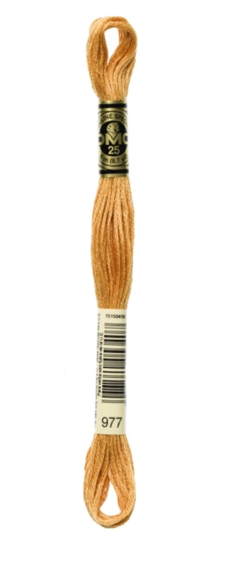 DMC-Six Strand Embroidery Floss-977-8m/8.7y