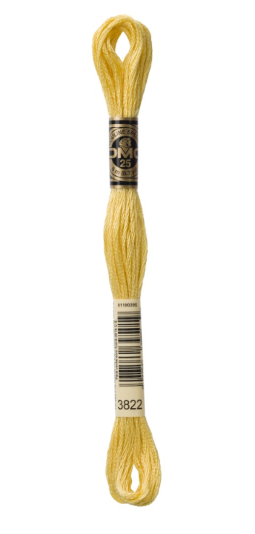 DMC-Six Strand Embroidery Floss-3822-8m/8.7y