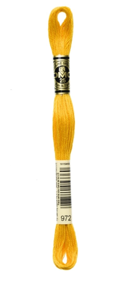 DMC-Six Strand Embroidery Floss-972-8m/8.7y
