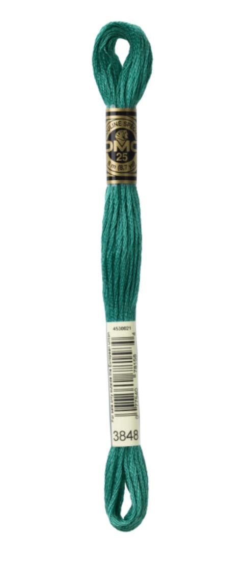 DMC-Six Strand Embroidery Floss-3848-8m/8.7y