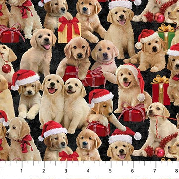 Northcott-Golden Christmas-Black Multi-Golden Labs #DP25293-99