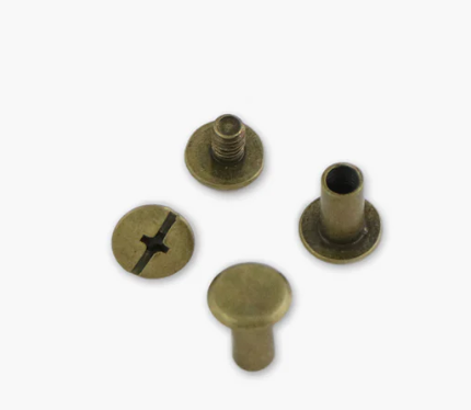 Sallie Tomato - 12 Large 10mm Chicago Screws