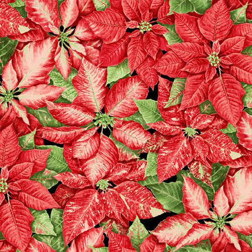 Henry Glass-Holiday Botanical-Packed Poinsettias