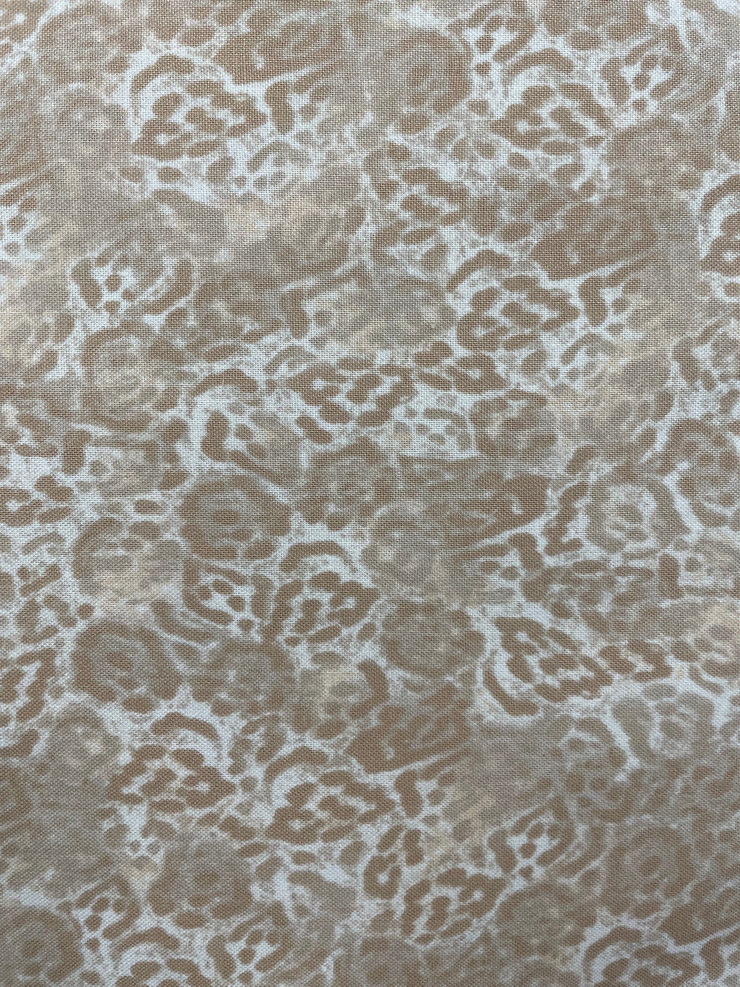 International Textiles LTD. - Shalimar