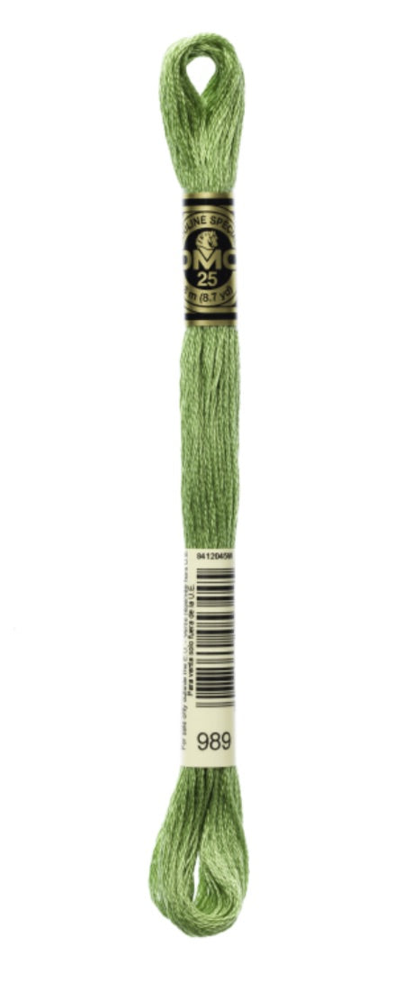 DMC-Six Strand Embroidery Floss-989-8m/8.7y #989