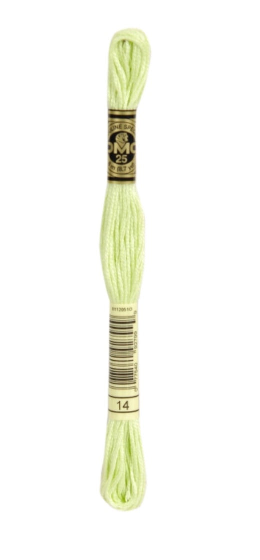 DMC-Six Strand Embroidery Floss-14-8m/8.7y #14