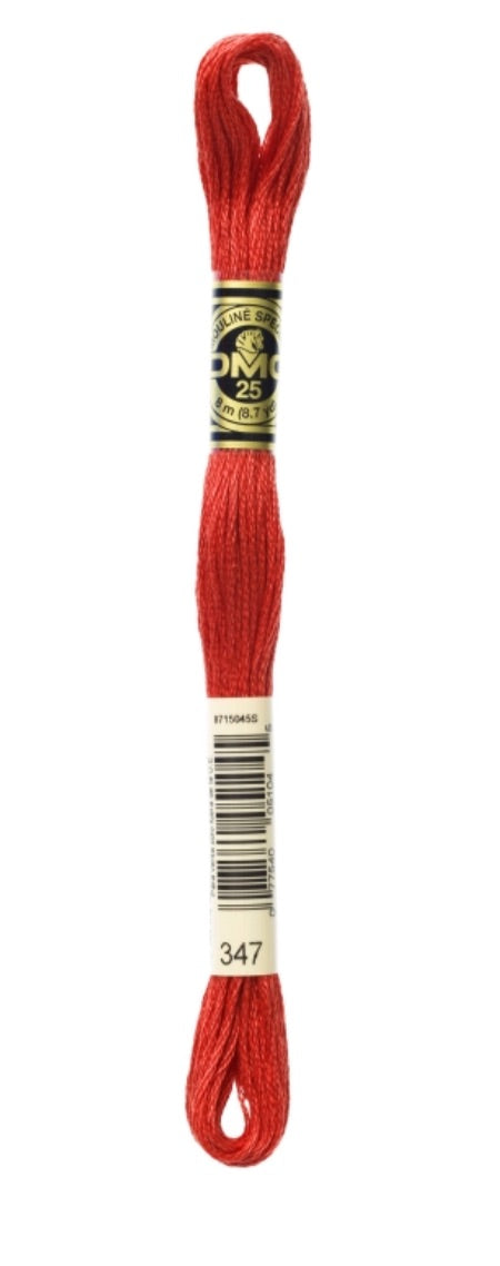 DMC-Six Strand Embroidery Floss-347-8m/8.7y #347-01