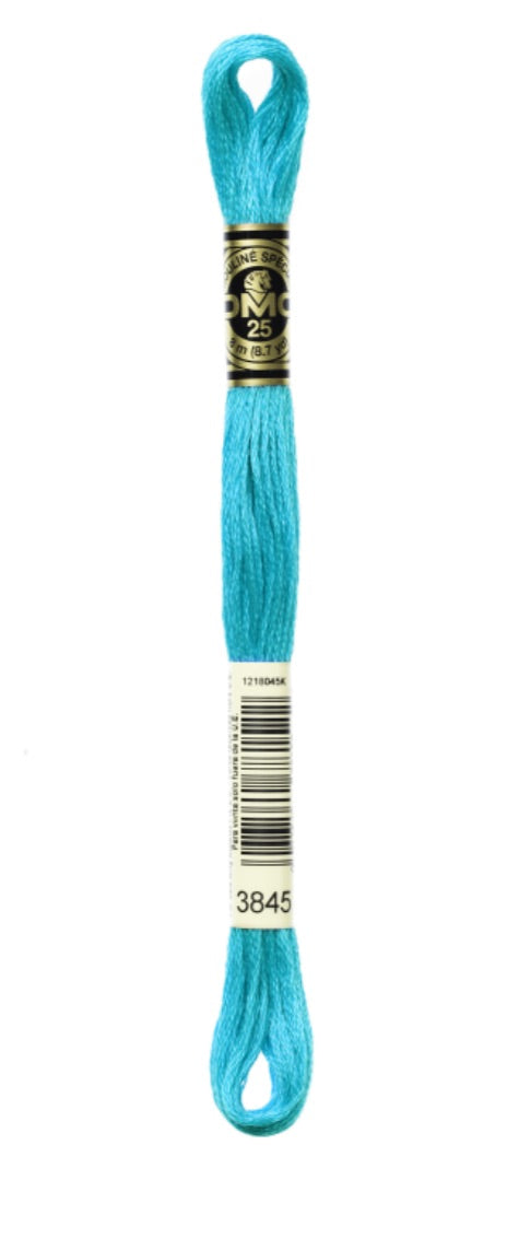 DMC-Six Strand Embroidery Floss-3845-8m/8.7y #3845