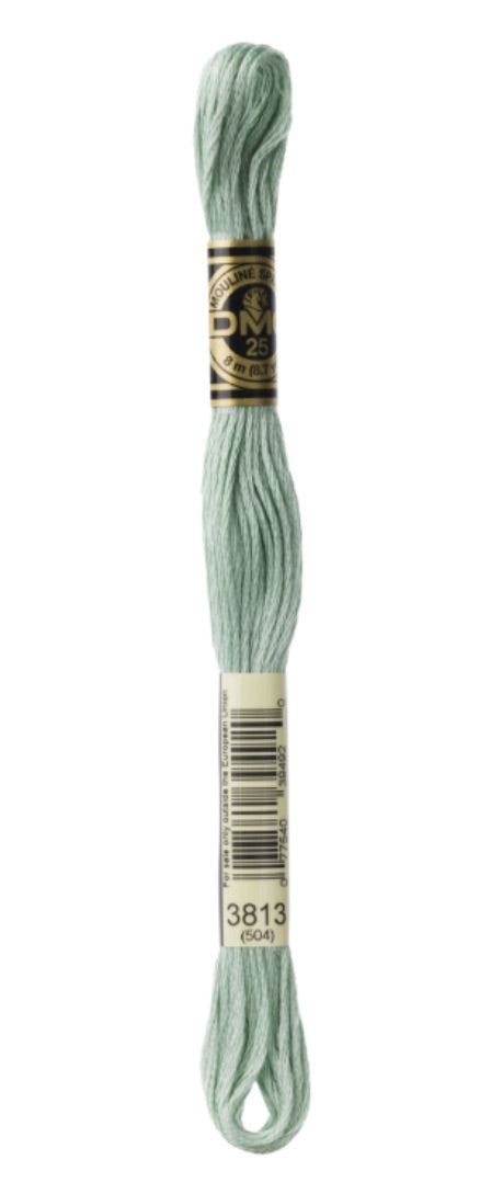 DMC-Six Strand Embroidery Floss-3813-8m/8.7y #3813