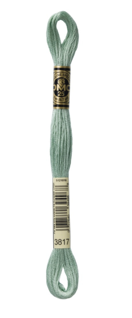 DMC-Six Strand Embroidery Floss-3817-8m/8.7y #3817