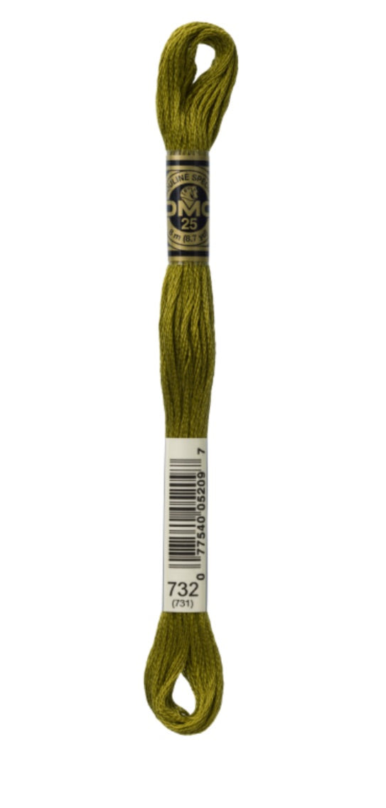 DMC-Six Strand Embroidery Floss-732-8m/8.7y #732