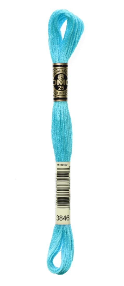 DMC-Six Strand Embroidery Floss-3846-8m/8.7y