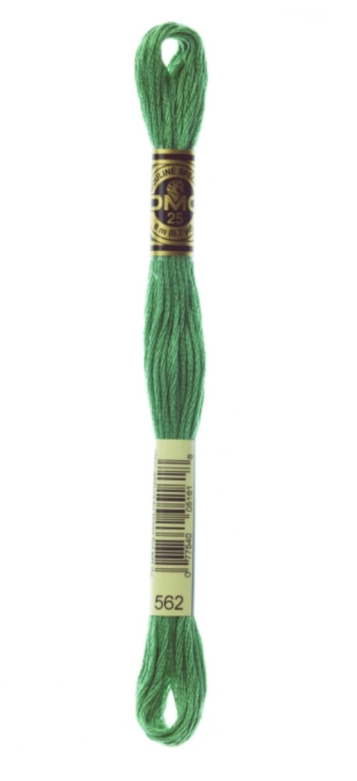 DMC-Six Strand Embroidery Floss-562-8m/8.7y #562