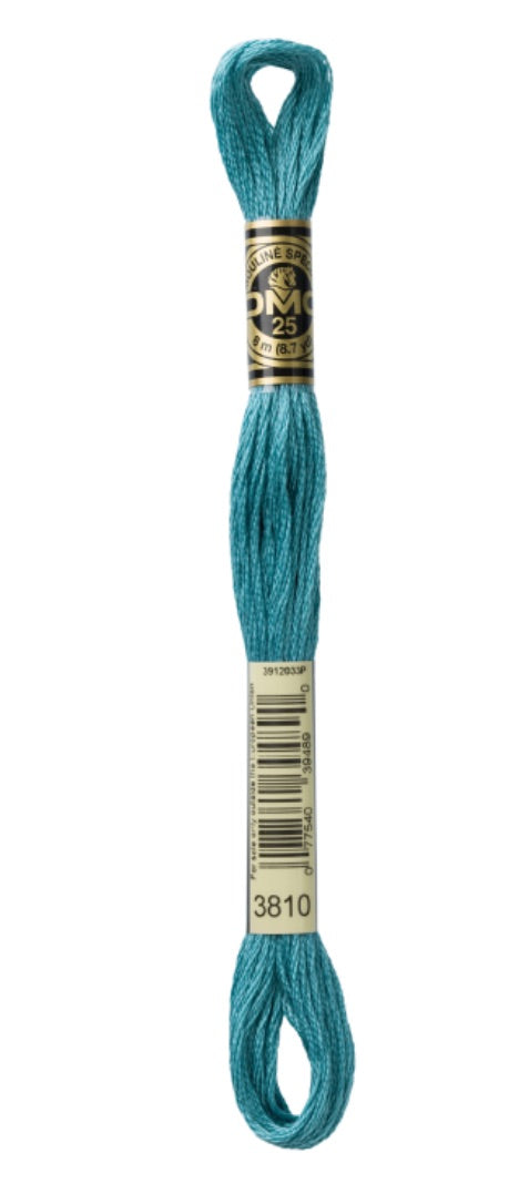 DMC-Six Strand Embroidery Floss-3810-8m/8.7y #3810