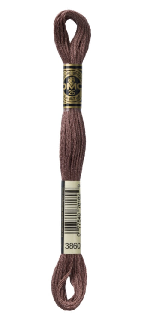 DMC-Six Strand Embroidery Floss-3860-8m/8.7y #3860